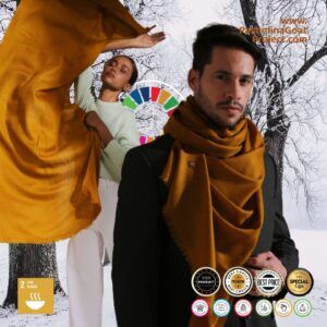 Natural Beige Pashmina Shawl - The Real PASHMINA